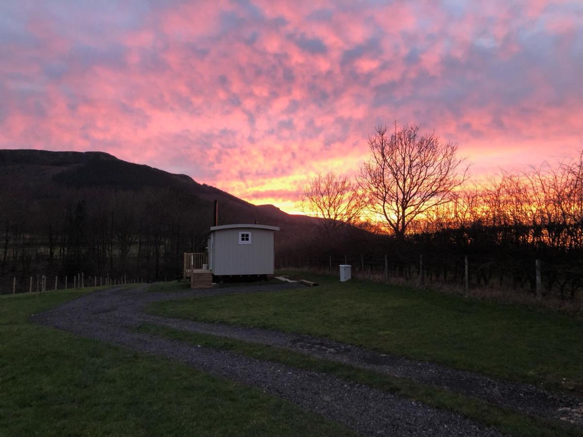 Rosemary Shepherds Hut, Clay Bank Huts Ingleby Greenhow Zewnętrze zdjęcie