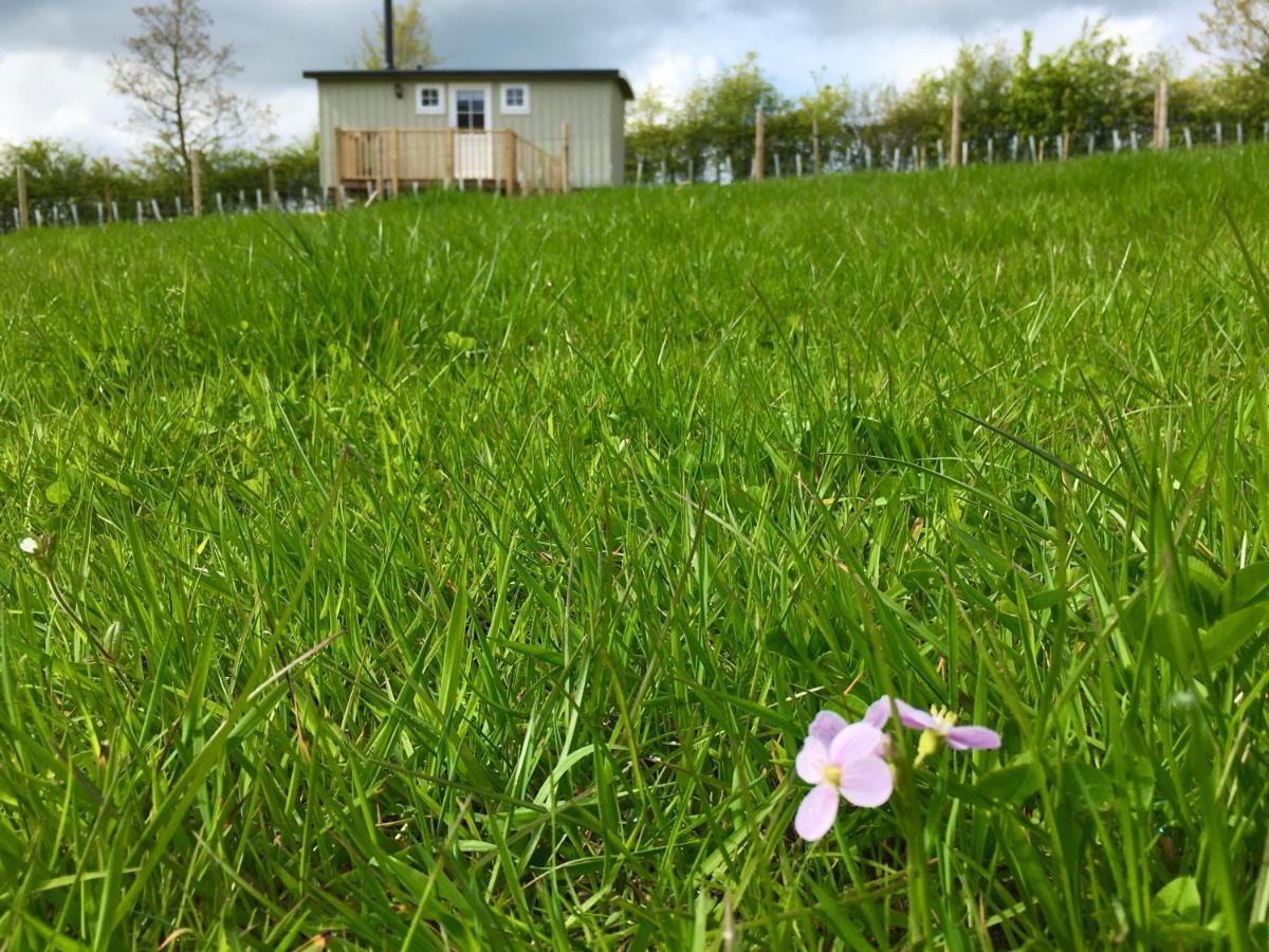 Rosemary Shepherds Hut, Clay Bank Huts Ingleby Greenhow Zewnętrze zdjęcie
